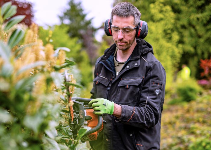 Mitarbeiter beim Hecke schneiden